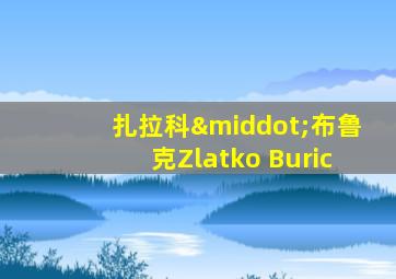 扎拉科·布鲁克Zlatko Buric